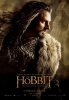Robin des Bois Richard Armitage : Thorin cu-de-Chne dans Le Hobbit - Volet II 