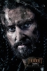 Robin des Bois Richard Armitage : Thorin cu-de-Chne dans Le Hobbit - Volet III 
